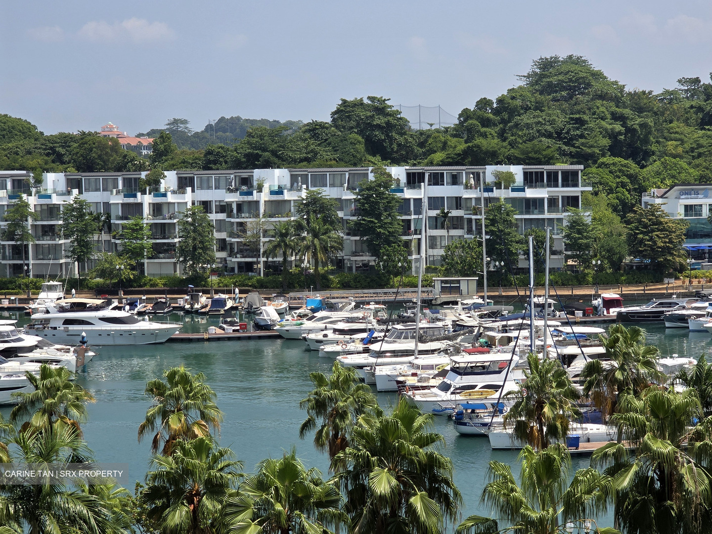 The Oceanfront @ Sentosa Cove (D4), Condominium #601546461